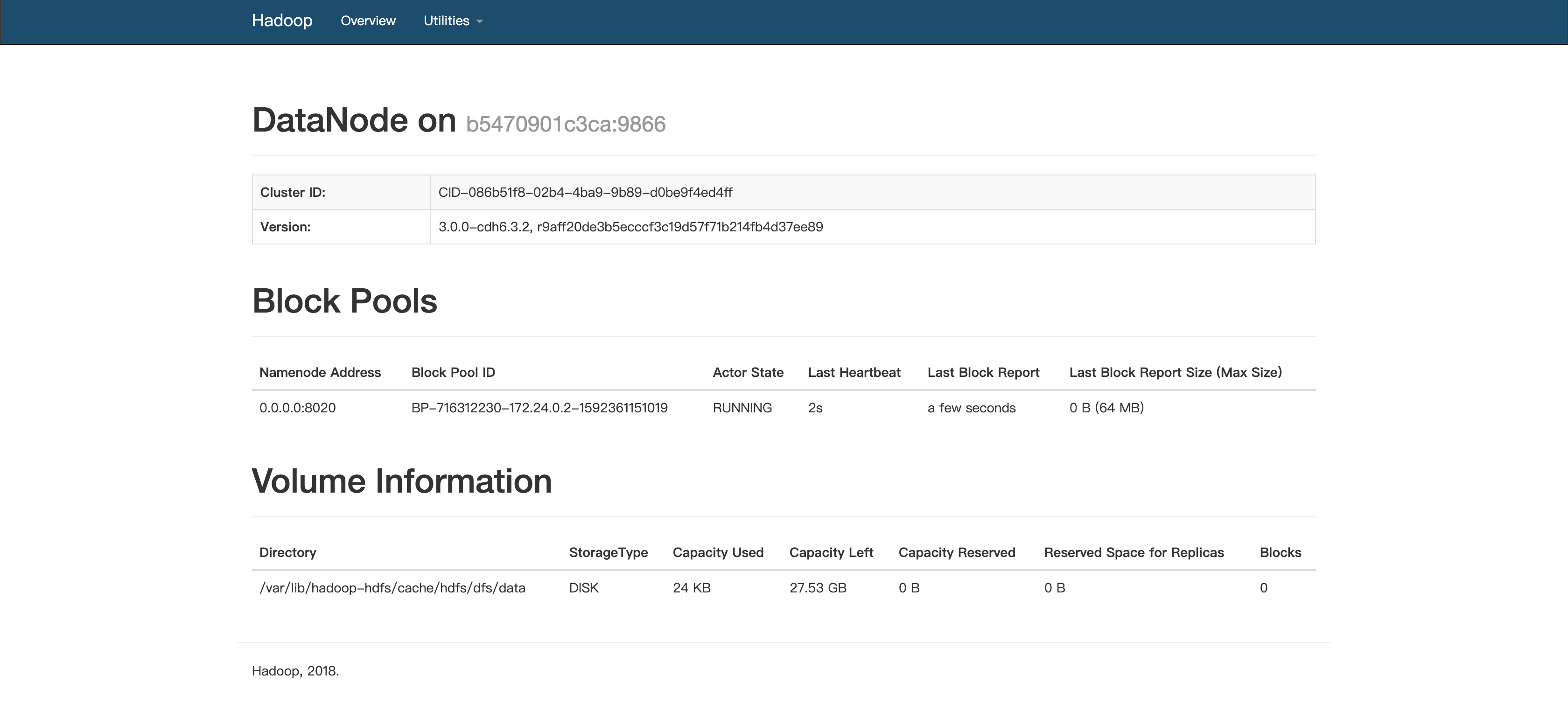 hadoop-datanode-webui